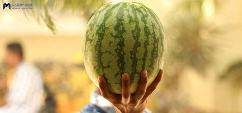 最近娱乐圈的吃瓜,最新“瓜”事盘点,揭秘明星幕后故事