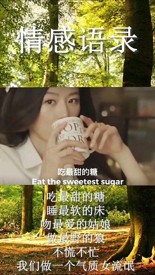 娱乐吃瓜酱经典语录大全,笑料百出,智慧闪耀